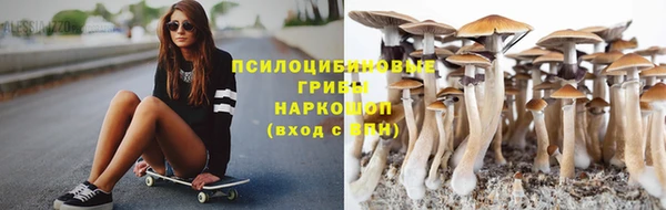 a pvp Вяземский
