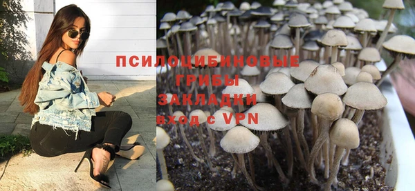 a pvp Вяземский