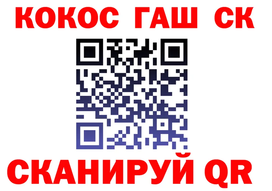 ГАШ Изолятор вход дарк нет KRAKEN Печора