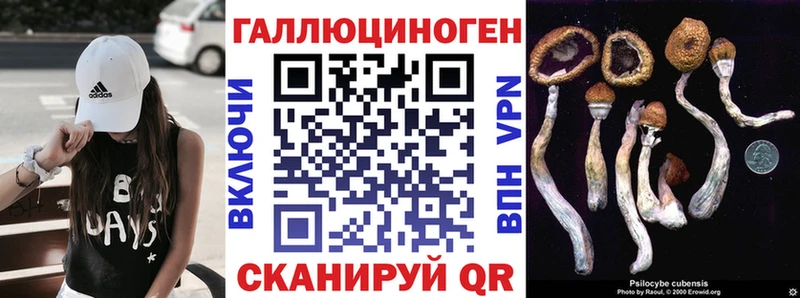 Купить  Печора  Галлюциногенные грибы Cubensis 